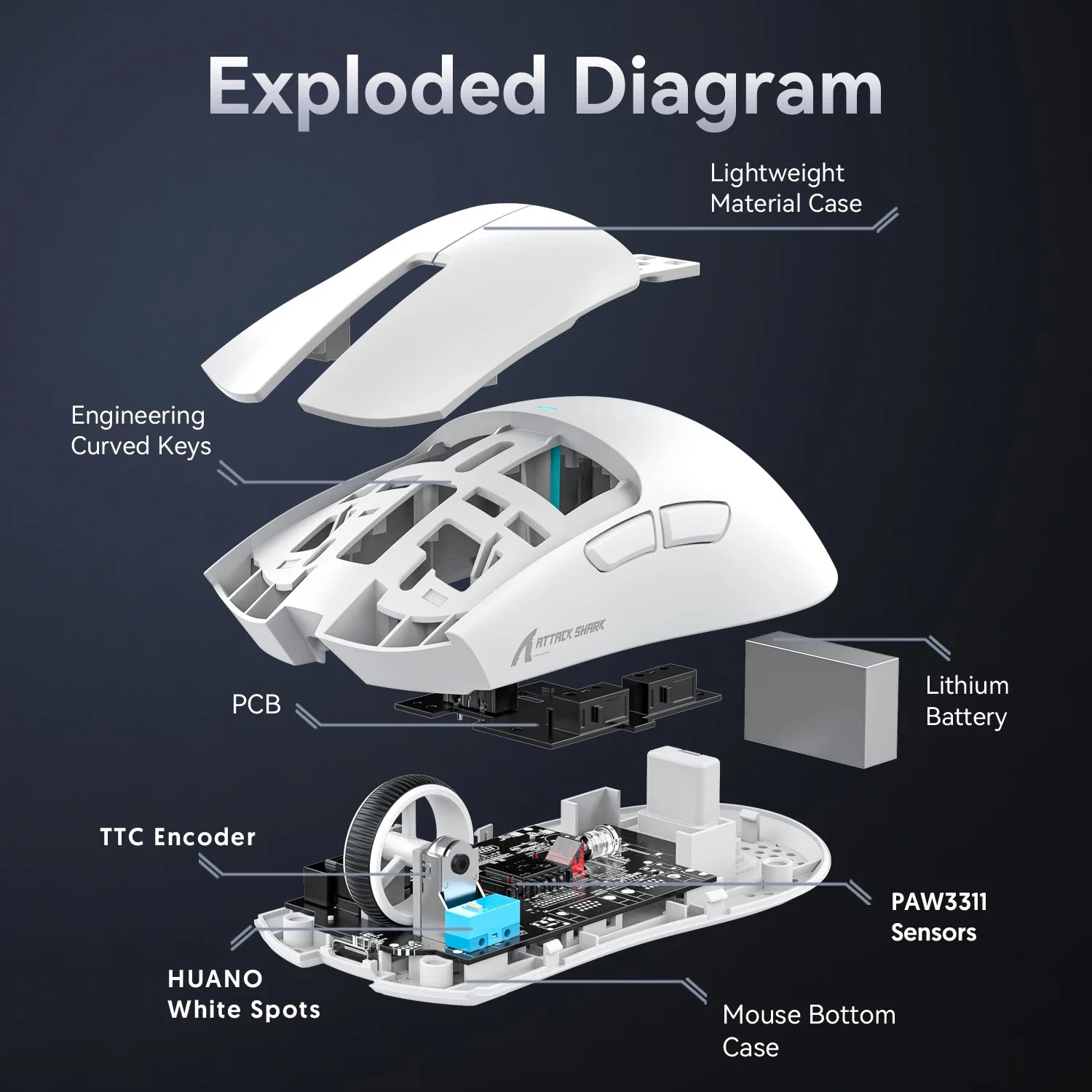 Attack Shark X11 Wireless Gaming Mouse – Bluetooth + 2.4G, PAW3311 Sensor, RGB Lighting - Image 3